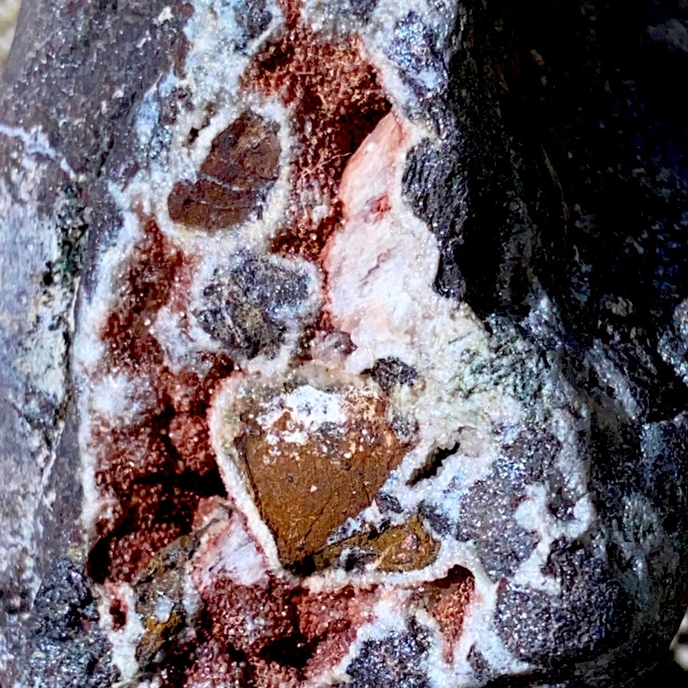 2 Beautiful Decorative Aquarium, Terrarium, Beneficial Bacteria 🦠 Natural Rocks🪨